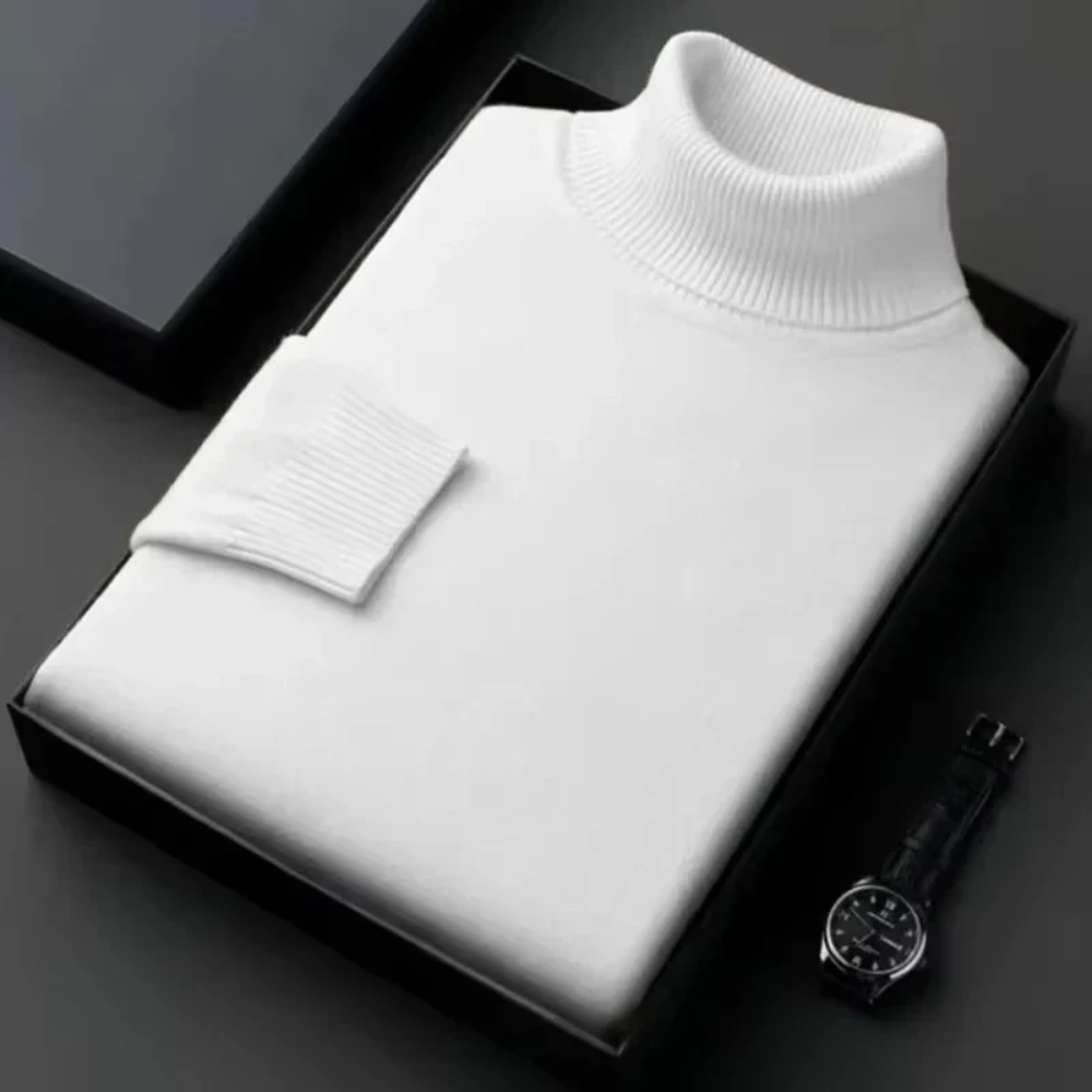 Alioth Cashmere Turtle Neck Sweater
