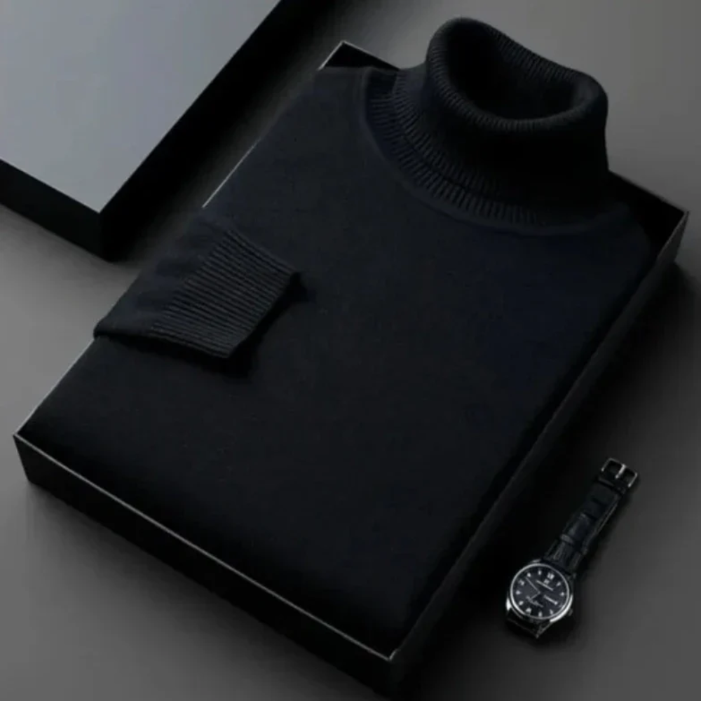 Alioth Cashmere Turtle Neck Sweater