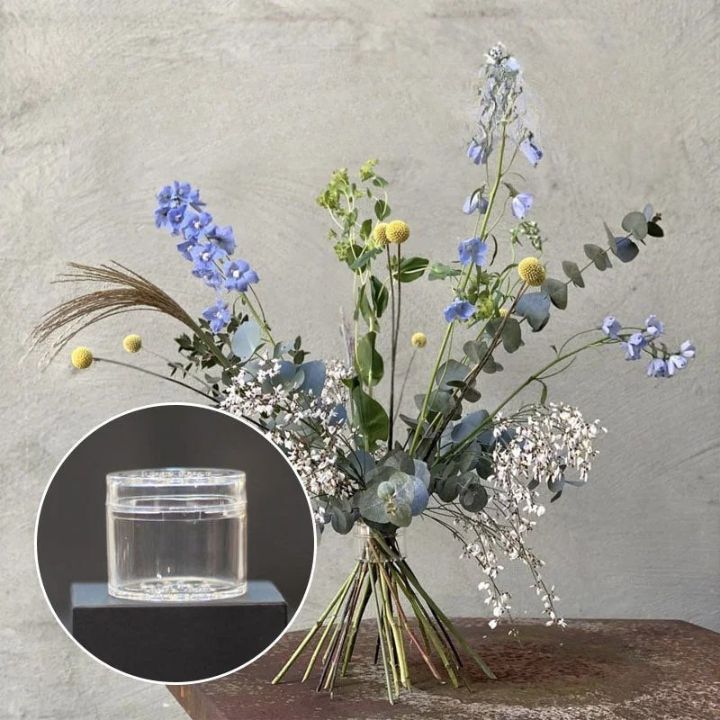 Buy One, Get One Free | Spiral Flower Holder for Flawless Vase Displays