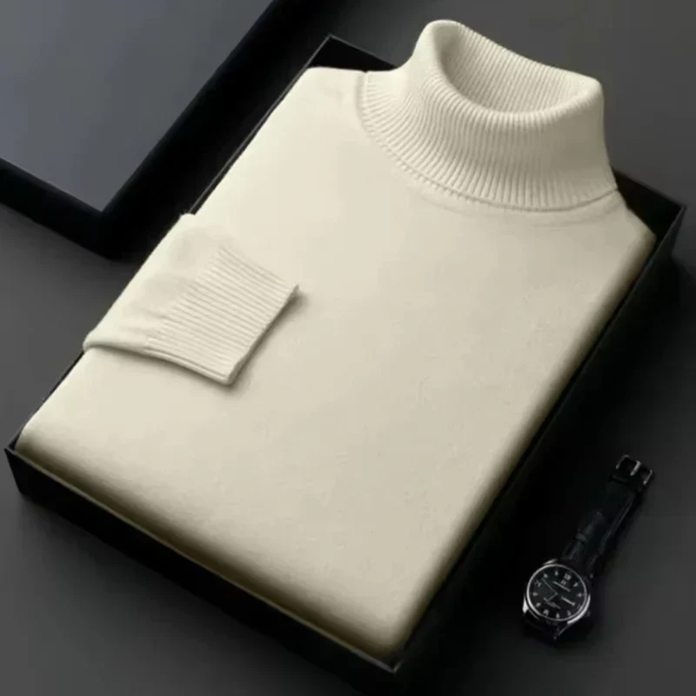 Alioth Cashmere Turtle Neck Sweater
