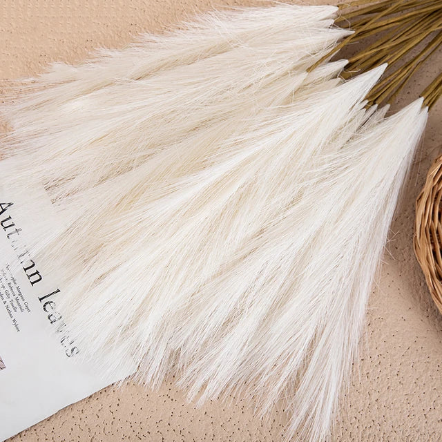 Embrace the Natural Elegance of Pampas for Your Home