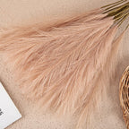 Embrace the Natural Elegance of Pampas for Your Home
