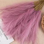 Embrace the Natural Elegance of Pampas for Your Home