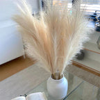 Embrace the Natural Elegance of Pampas for Your Home