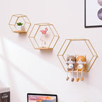 Stylish Hexagonal Wall Art
