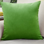 Chic Decorative Pillow Case