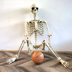 Adjustable Human Skeleton 90–165 cm — Lifelike Decoration for Halloween and Horror Themes