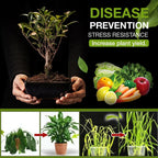 Garden Soil Enrichment Booster