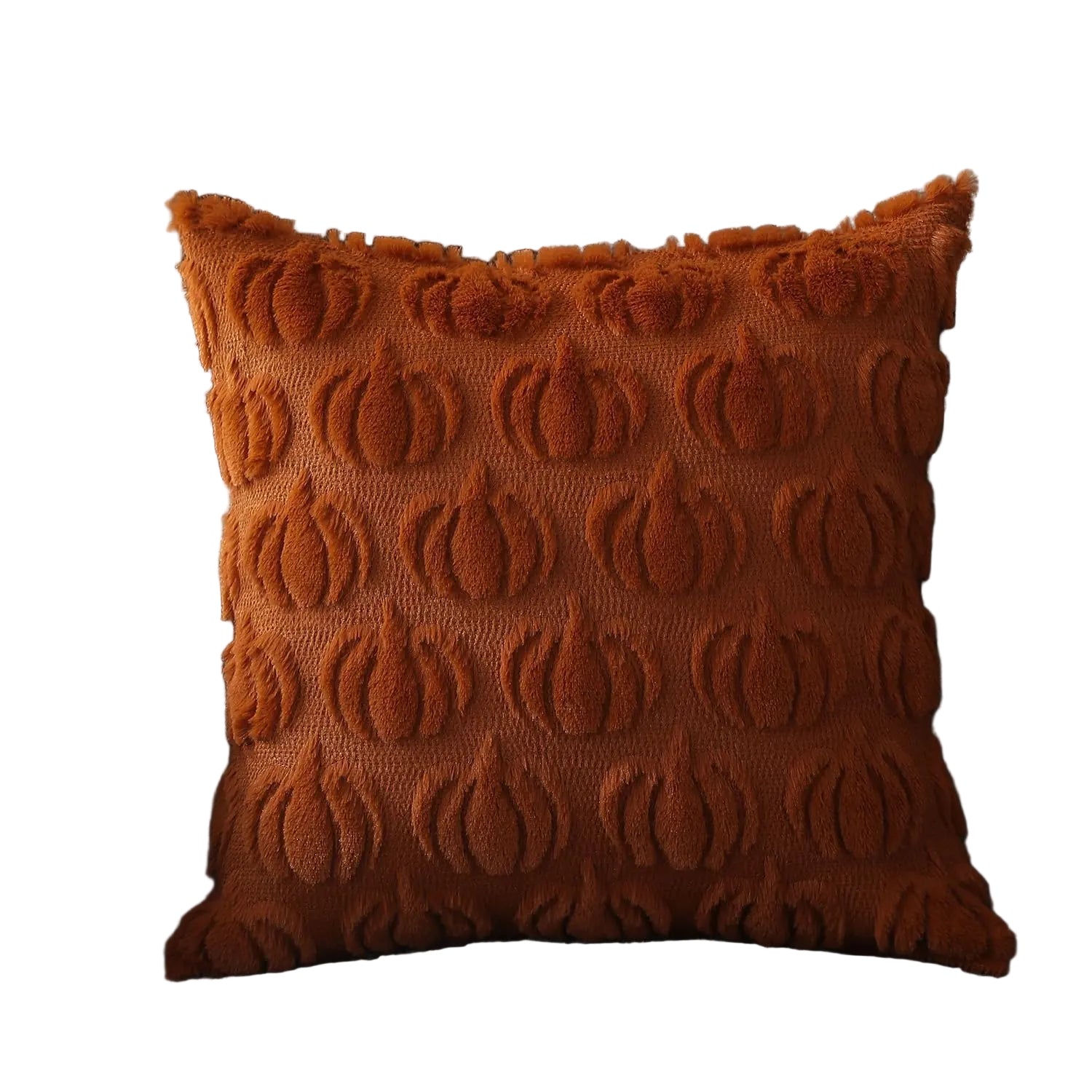 Luxurious Soft Velvet Decorative Cushion