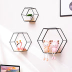 Stylish Hexagonal Wall Art