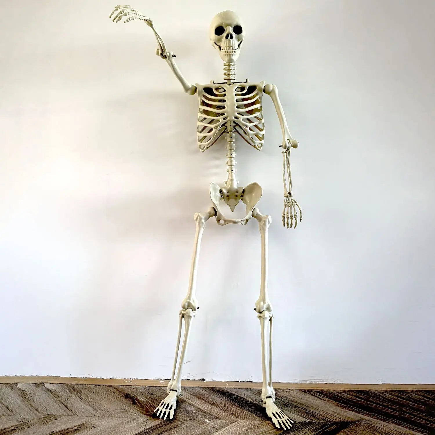 Adjustable Human Skeleton 90–165 cm — Lifelike Decoration for Halloween and Horror Themes