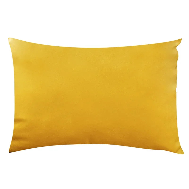 Chic Velvet Cushion in Exclusive Design