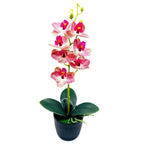 Timeless Floral Elegance for Every Season