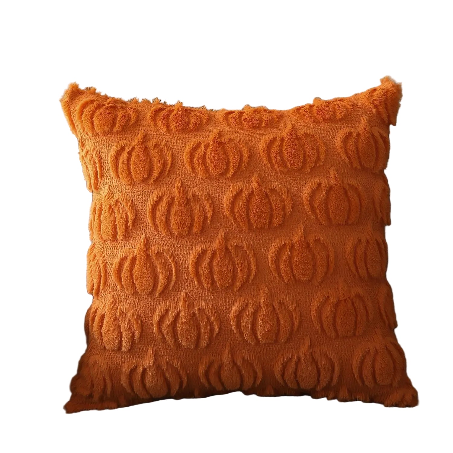 Luxurious Soft Velvet Decorative Cushion