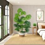 Exquisite Charm with a Tropical Touch