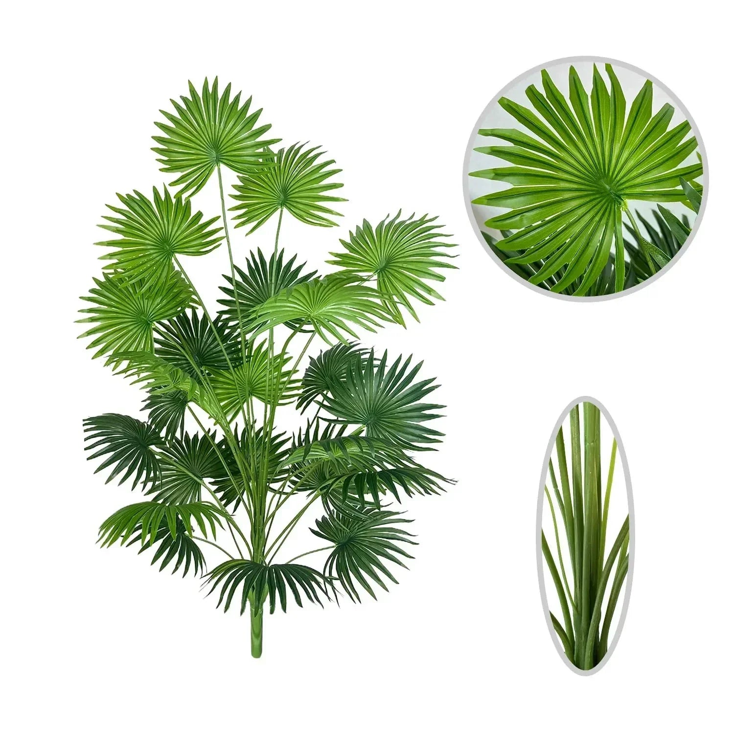 Exquisite Charm with a Tropical Touch