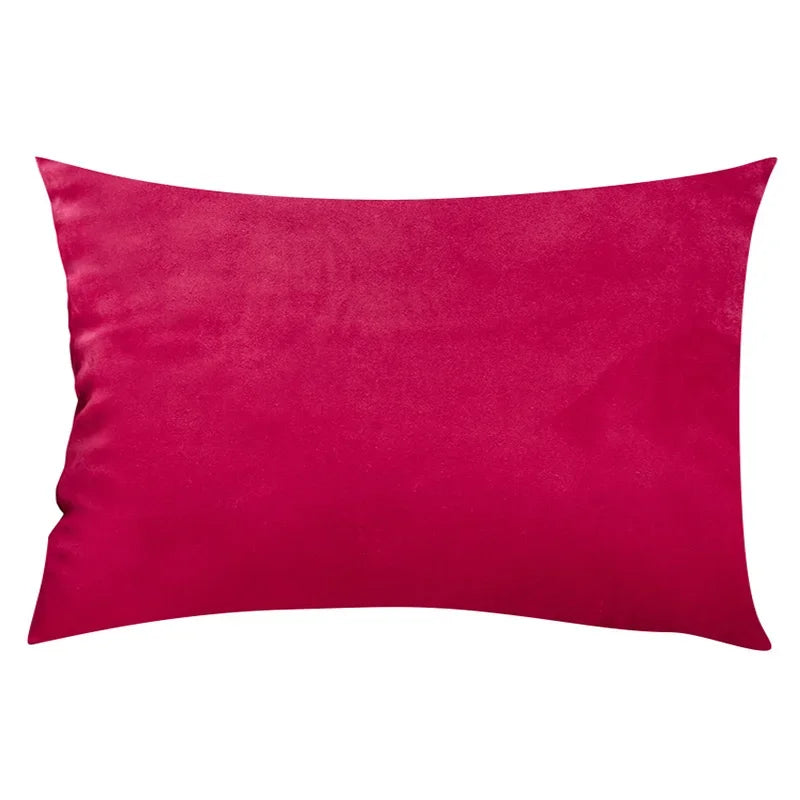 Chic Velvet Cushion in Exclusive Design