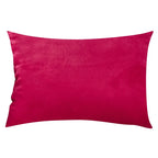 Chic Velvet Cushion in Exclusive Design