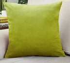 Chic Decorative Pillow Case