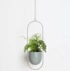 Chic Minimalist Plant Hanger
