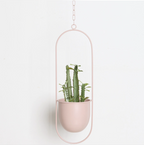 Chic Minimalist Plant Hanger