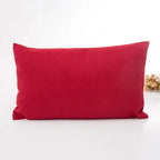 Chic Living Room Cushion