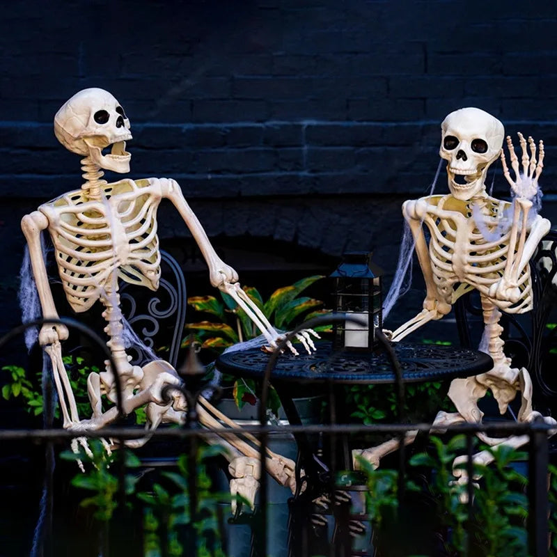 Adjustable Human Skeleton 90–165 cm — Lifelike Decoration for Halloween and Horror Themes