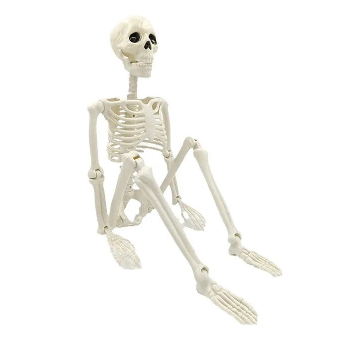 Adjustable Human Skeleton 90–165 cm — Lifelike Decoration for Halloween and Horror Themes