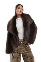 Cozy Short Fur Jacket