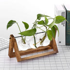 Contemporary Hydroponic Planter with Wooden Stand