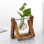 Contemporary Hydroponic Planter with Wooden Stand