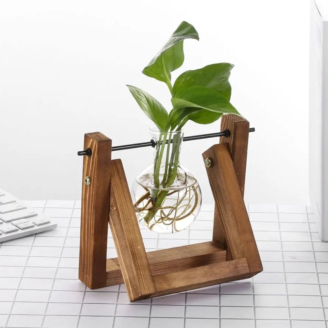 Contemporary Hydroponic Planter with Wooden Stand