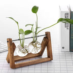 Contemporary Hydroponic Planter with Wooden Stand