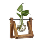 Contemporary Hydroponic Planter with Wooden Stand