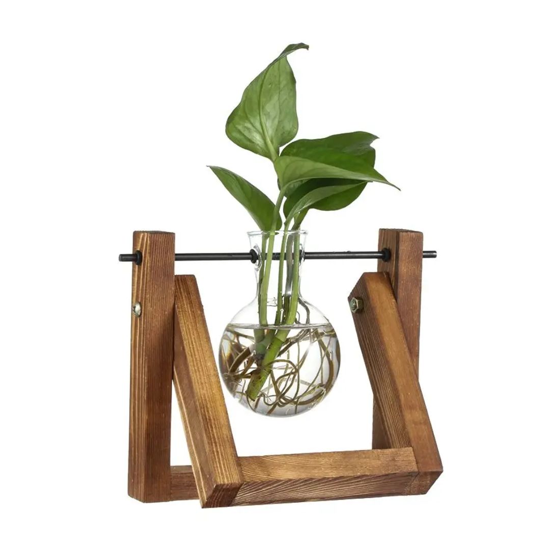 Contemporary Hydroponic Planter with Wooden Stand
