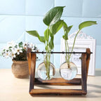 Contemporary Hydroponic Planter with Wooden Stand