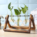 Contemporary Hydroponic Planter with Wooden Stand