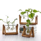 Contemporary Hydroponic Planter with Wooden Stand