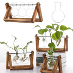 Contemporary Hydroponic Planter with Wooden Stand