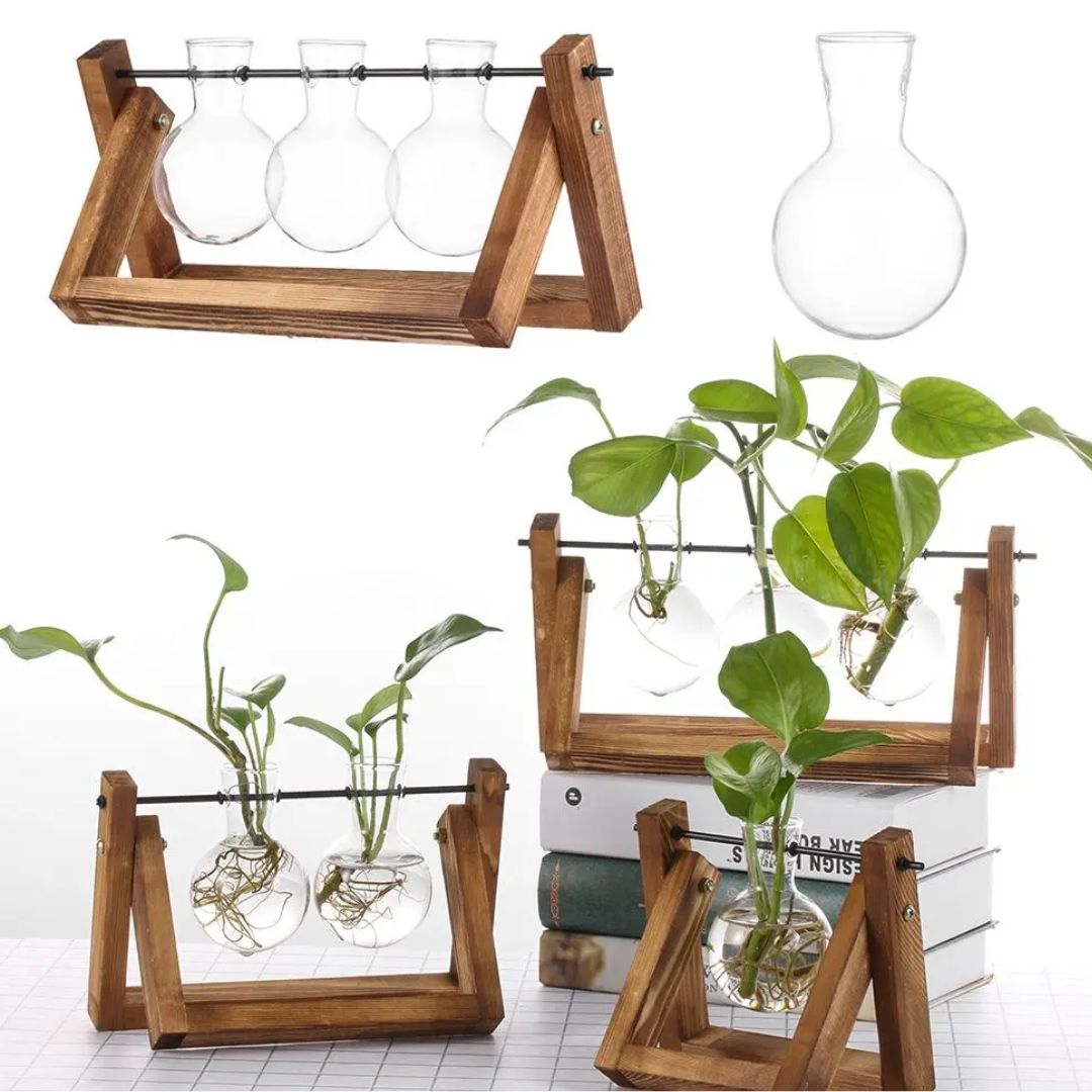 Contemporary Hydroponic Planter with Wooden Stand