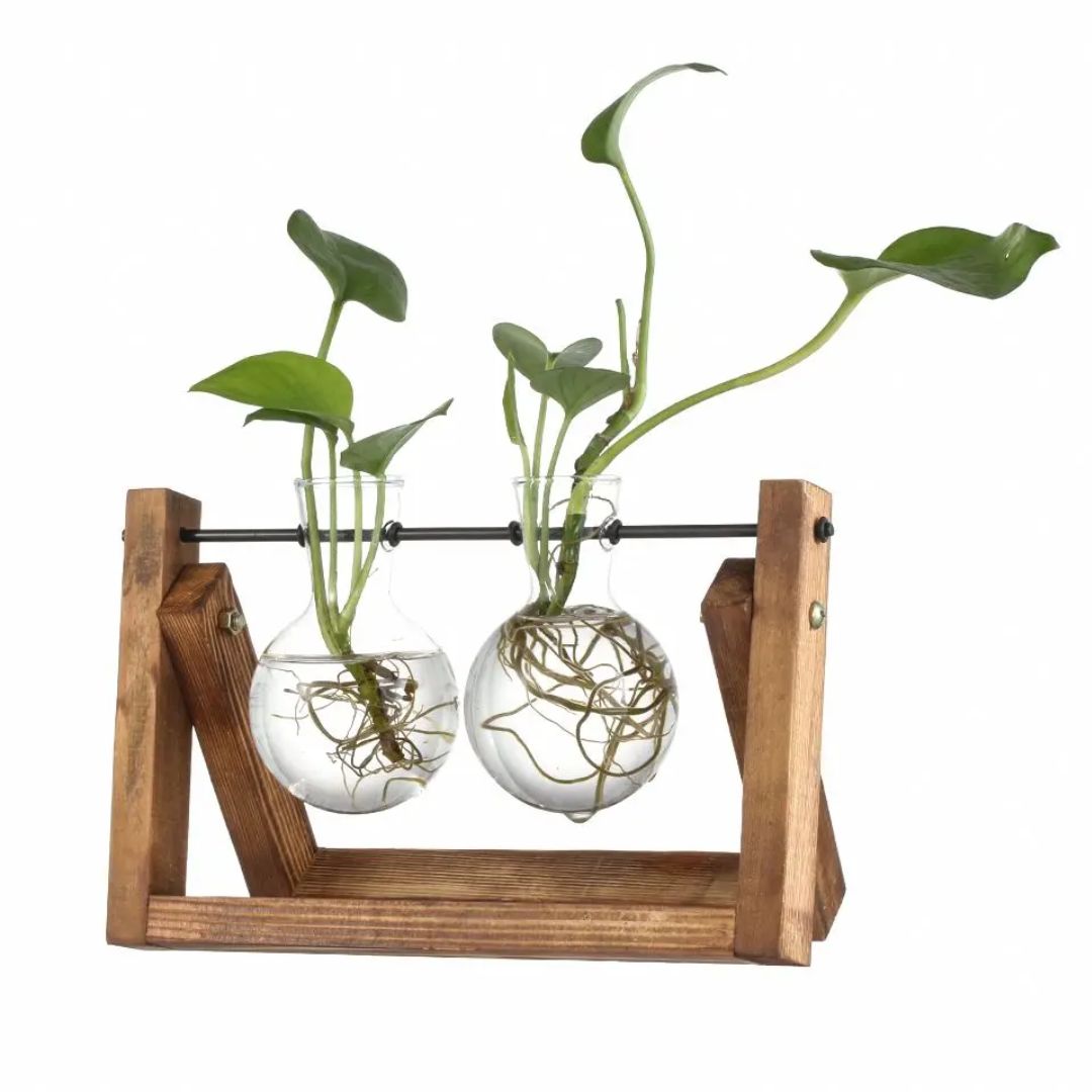 Contemporary Hydroponic Planter with Wooden Stand