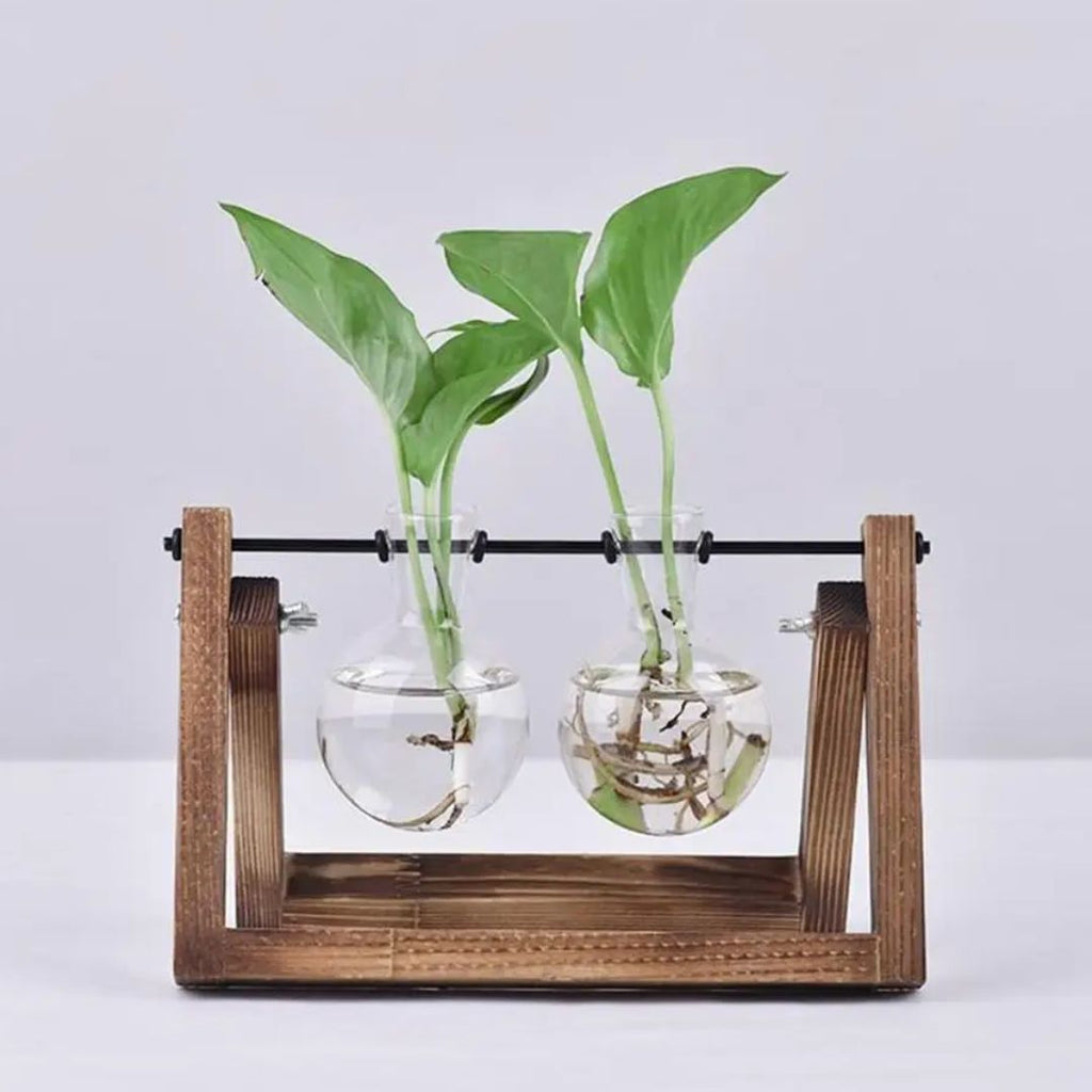 Contemporary Hydroponic Planter with Wooden Stand