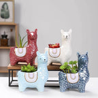 Alpaca-Themed Ceramic Plant Pots for Your Greenery