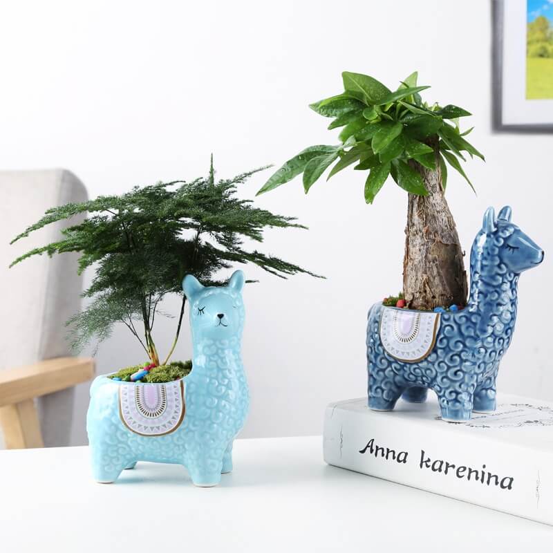 Alpaca-Themed Ceramic Plant Pots for Your Greenery
