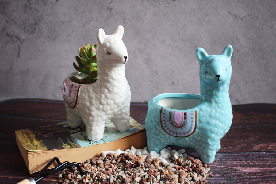 Alpaca-Themed Ceramic Plant Pots for Your Greenery