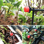 Automated Plant Watering Drip System for Gardens and Pots – 100 Count