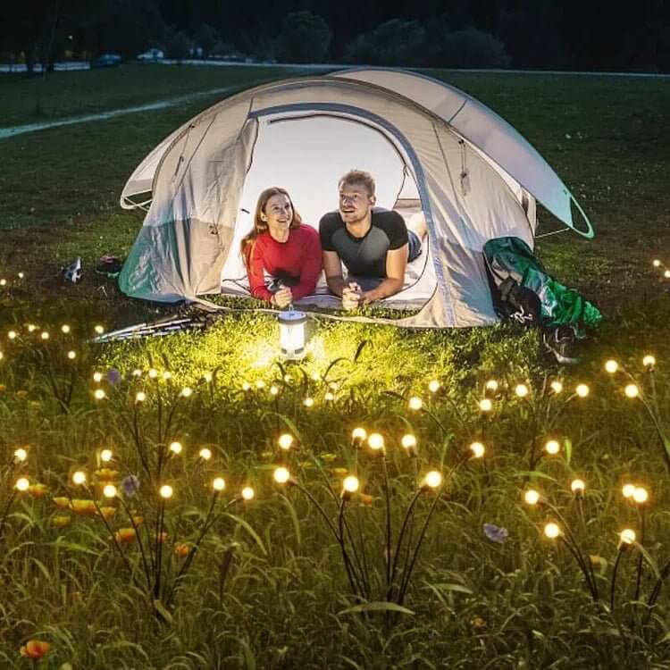 Solar-Powered LED Butterfly String Lights