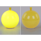 Contemporary Balloon-Shaped LED Ceiling Light – AuraLite