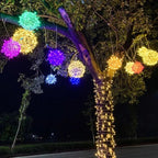 Decorative LED Ball Lights for Home and Garden Illumination