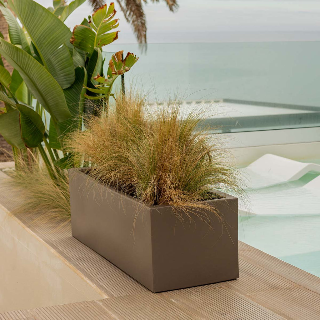 Chic Planter to Brighten Up Your Interior